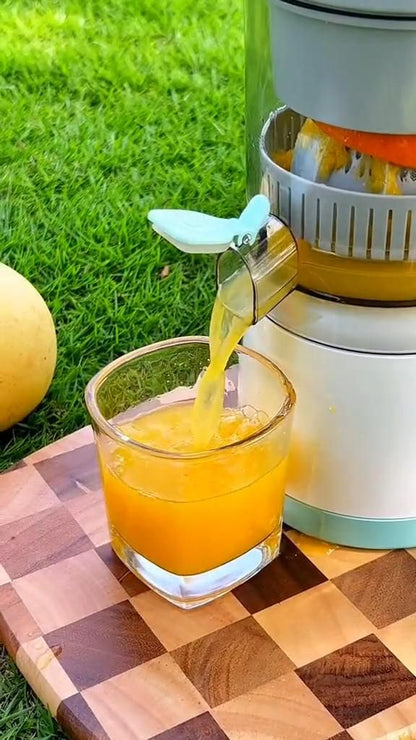 Electric Citrus Juicer