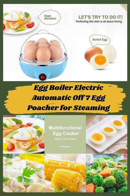 Smart Electric Egg Boiler