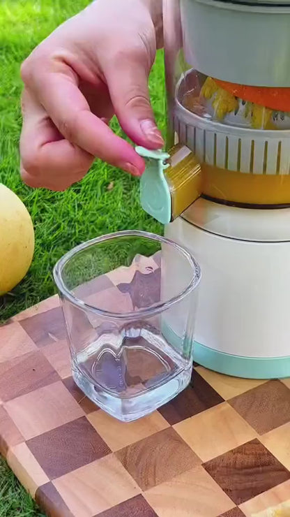 Electric Citrus Juicer